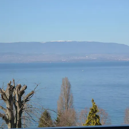 Avec Vue Sur Leman Villa Thonon-les-Bains